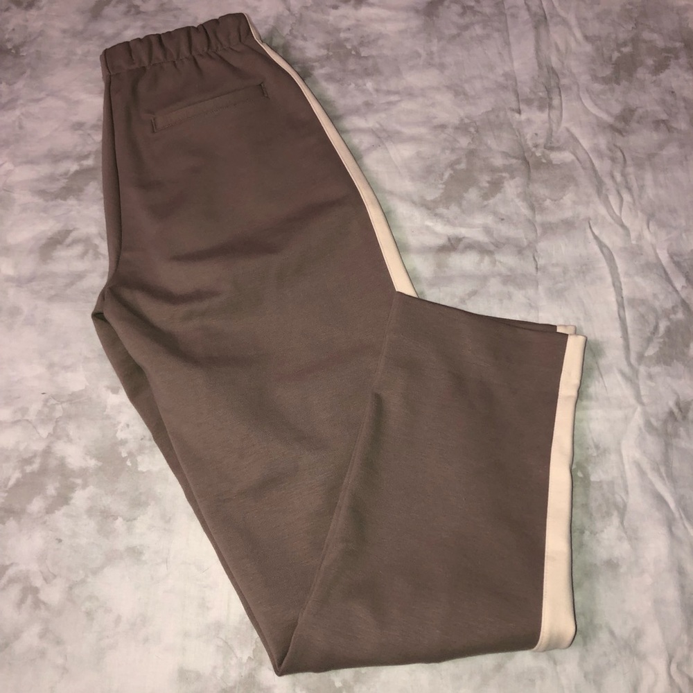 Everlane Dressy Elevated Neutral Slim Straight Sweatpants - Picture 6 of 6